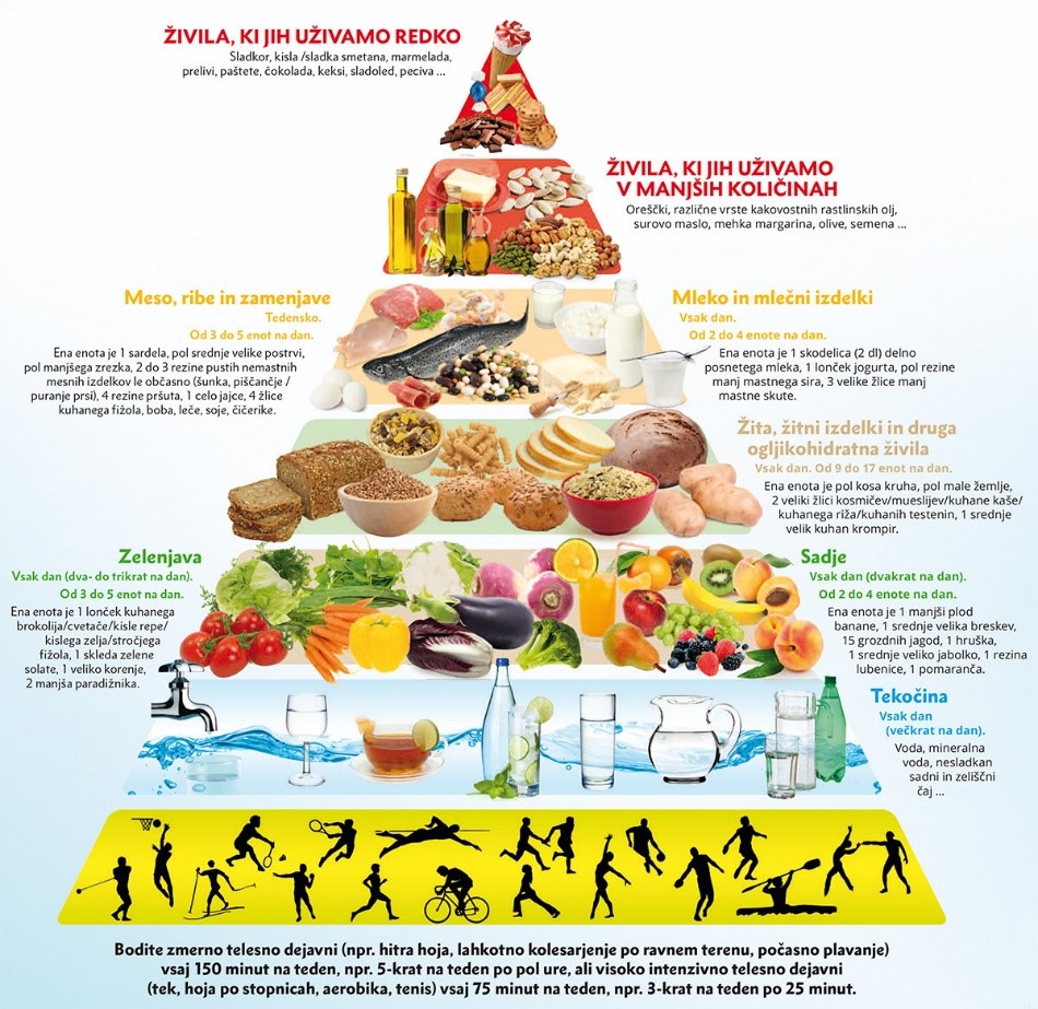 Rezultat iskanja slik za prehranjevalna piramida nova